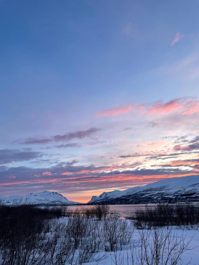 Modern Apartment Nearby City Centrum Tromsø Zewnętrze zdjęcie